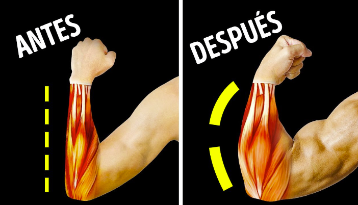 Kit 5 Piezas Máquina Antebrazo/Agarre Mano