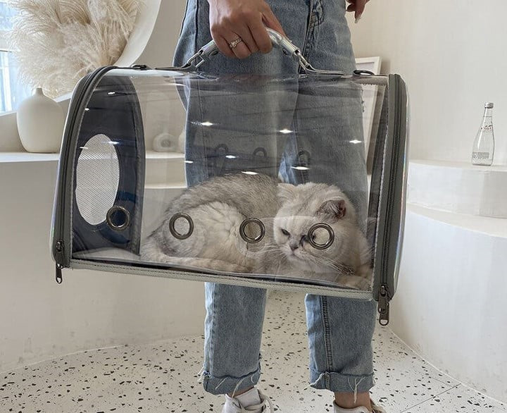 Bulto Transparente para Mascotas Pequeñas LitePet™